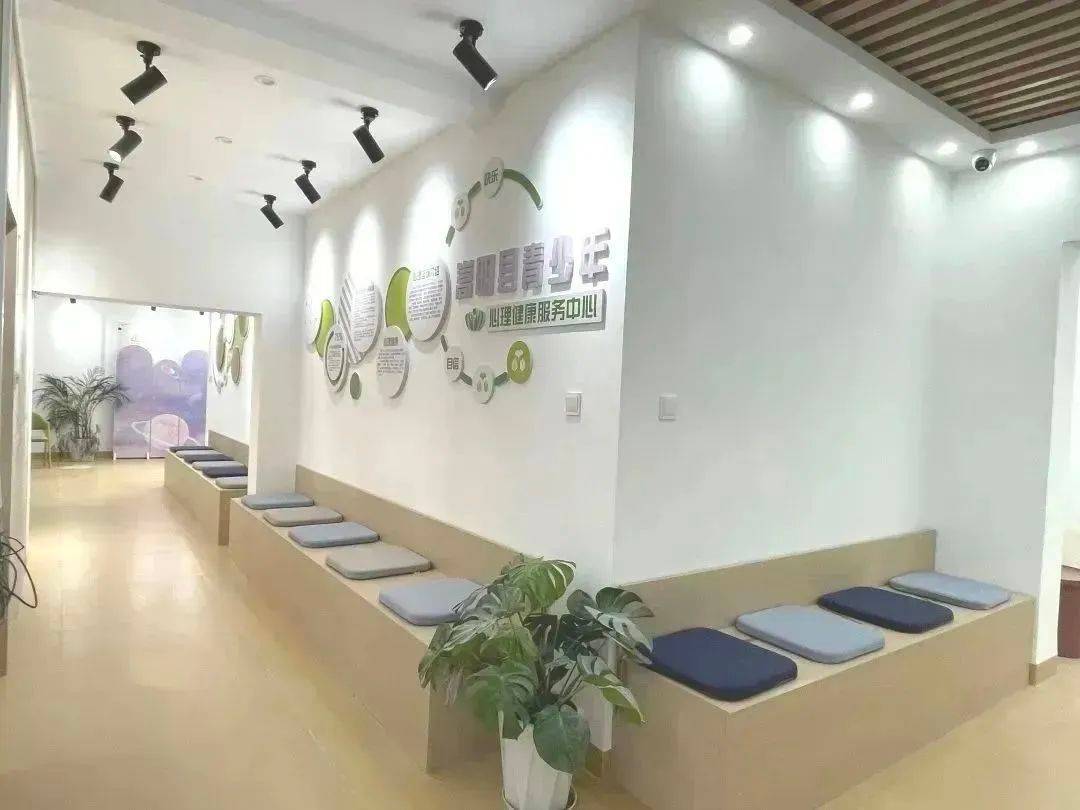 心理咨詢室創建驗收暨健康咨詢服務活動圓滿完成